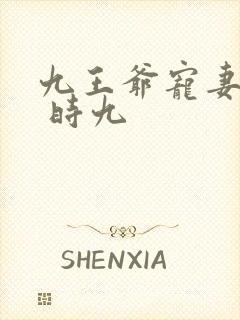 九王爷宠妻如命 时九