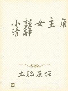 小说女主角叫沈清辞