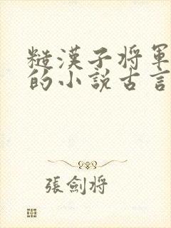 糙汉子将军男主的小说古言