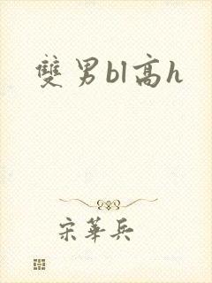 双男bl高h