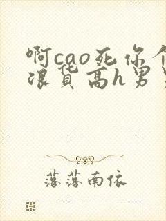 啊cao死你个浪货高h男男