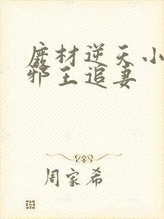 废材逆天小姐之邪王追妻