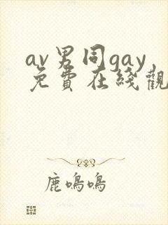 av男同gay免费在线观看