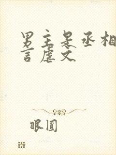 男主是丞相的古言虐文