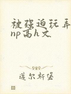 被强迫玩弄屈辱np高h文封面