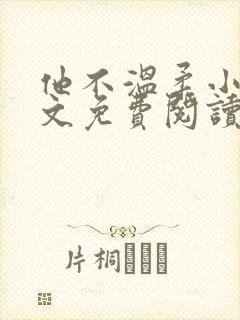 他不温柔小说全文免费阅读无弹窗