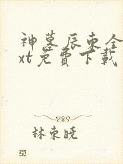 神墓辰东全本txt免费下载