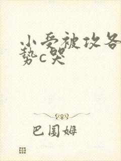 小受被攻各种姿势c哭