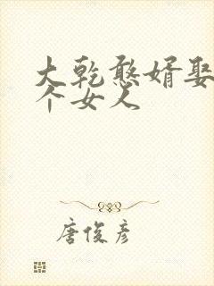 大乾憨婿娶了几个女人