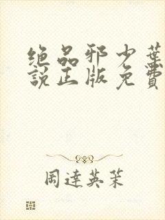 绝品邪少叶潇小说正版免费