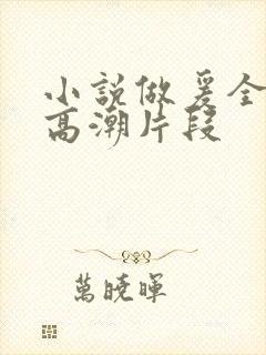 小说做爰全细节高潮片段