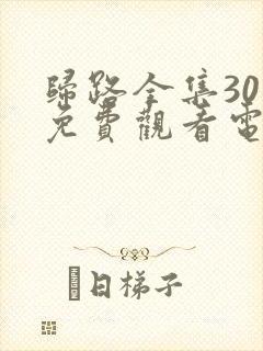 归路全集30集免费观看电视剧完整版封面