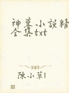 神墓小说精校版全集txt