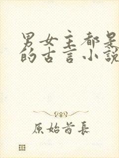 男女主都是将军的古言小说