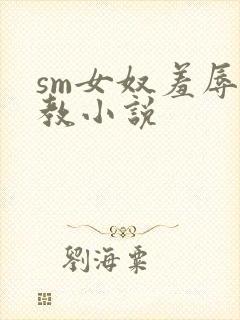 sm女奴羞辱调教小说
