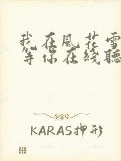 我在风花雪月里等你在线听电子书