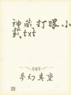 神藏打眼小说下载txt