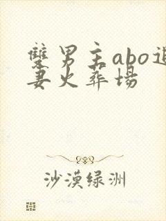 双男主abo追妻火葬场
