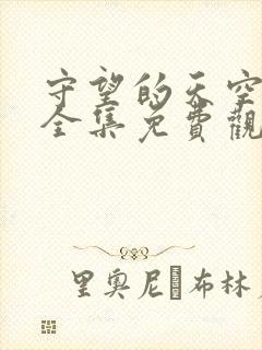 守望的天空高清全集免费观看封面