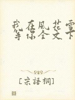 我在风花雪月里等你全文下载txt