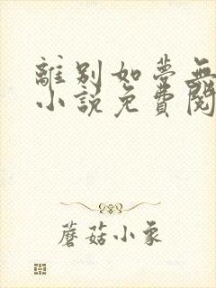 离别如梦无归期小说免费阅读封面