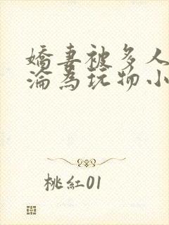 娇妻被多人调教沦为玩物小说