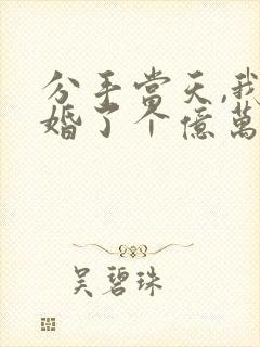 分手当天,我闪婚了个亿万富翁完本