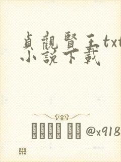 贞观贤王txt小说下载