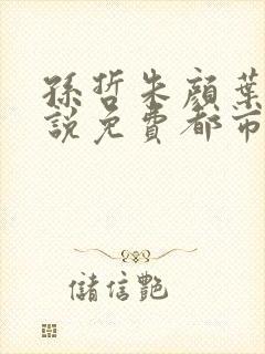 孙哲朱颜叶巧小说免费都市之医武风流