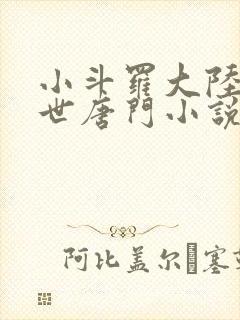 小斗罗大陆2绝世唐门小说封面