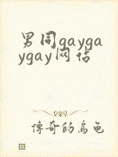男同gaygaygay网站