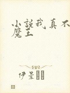 小说我真不是大魔王
