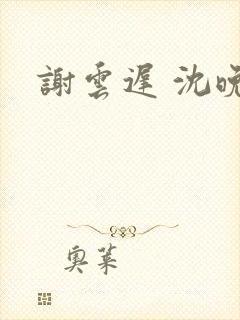 谢云迟 沈晚梨