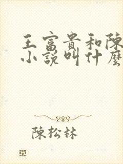 王富贵和陈芸的小说叫什么