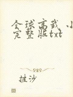 全球高武 小说完整版txt