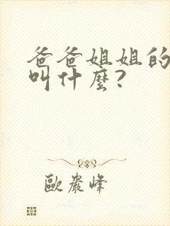 爸爸姐姐的丈夫叫什么?