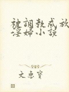 被调教成放荡小淫妇小说