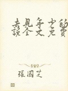 去见年少的你小说全文免费阅读封面