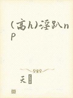(高h)淫趴np