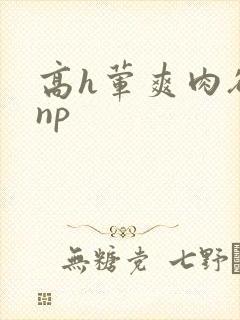 高h荤爽肉欲文np