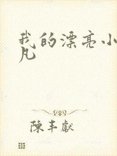 我的漂亮小姨叶凡