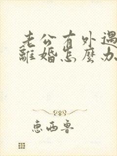 老公有外遇我要离婚怎么办封面