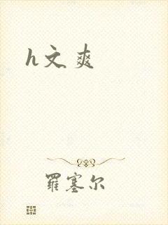 h文爽封面