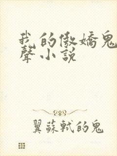我的傲娇鬼夫有声小说