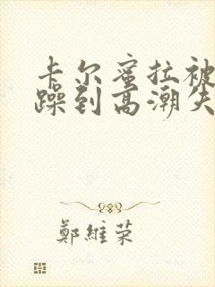 卡尔蜜拉被狂c躁到高潮失禁小说