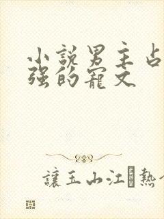 小说男主占有欲强的宠文