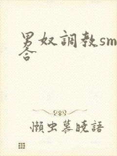 男奴调教sm综合