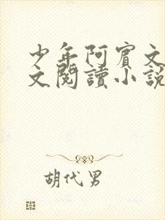 少年阿宾文全全文阅读小说