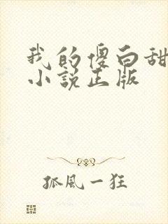 我的傻白甜老婆小说正版