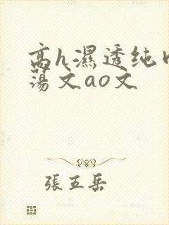 高h湿透纯肉放荡文ao文